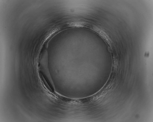 X0000098210386200805011216