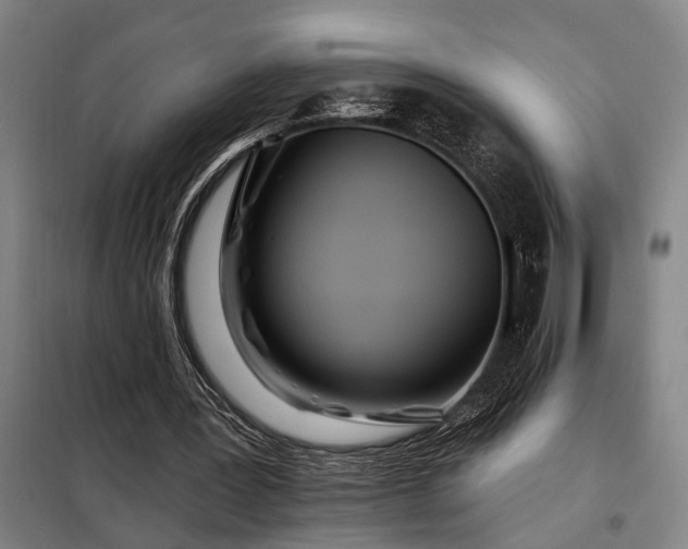 X0000098210387200805011216