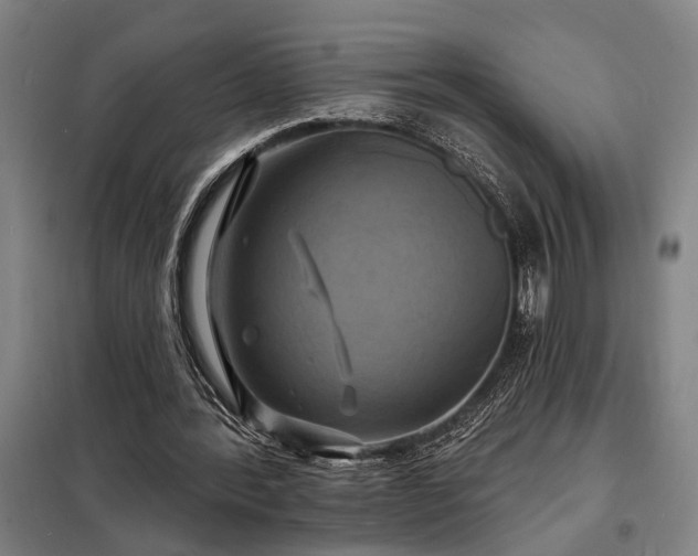 X0000098210388200805011216