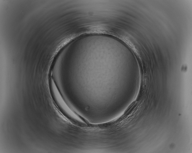X0000098210389200805011216