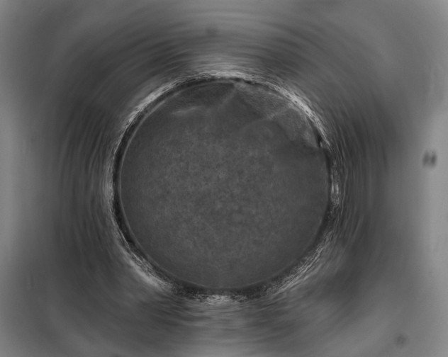 X0000098210390200805011216