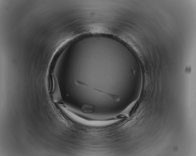 X0000098210391200805011216