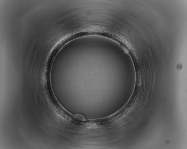 X0000098210392200805011216