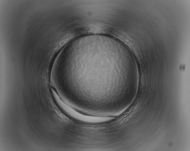 X0000098210393200805011216