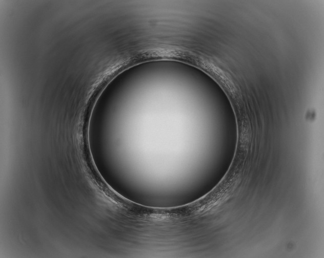 X0000098210394200805011215