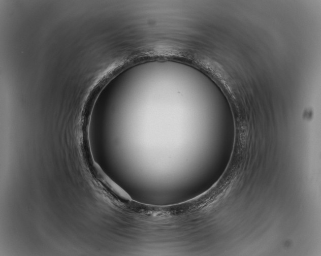 X0000098210395200805011215