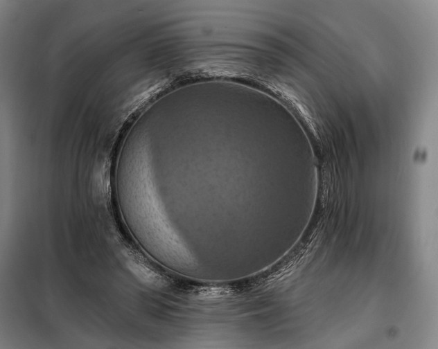 X0000098210398200805011215