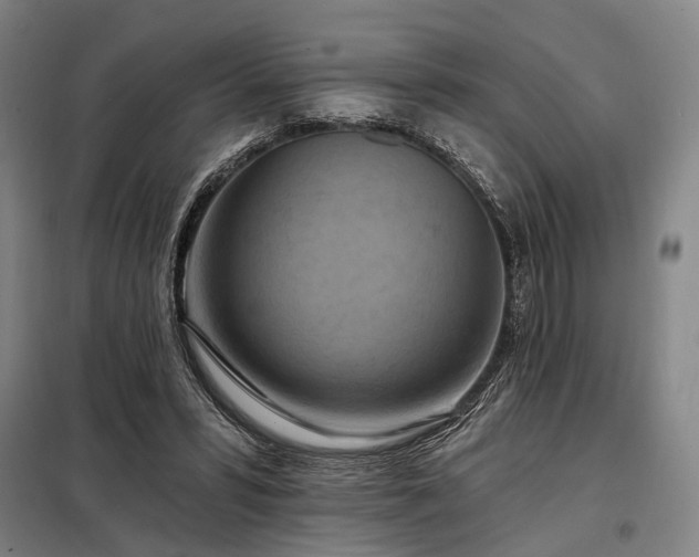 X0000098210399200805011215