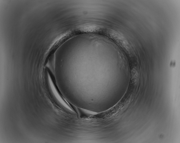 X0000098210400200805011215