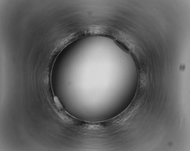X0000098210401200805011215