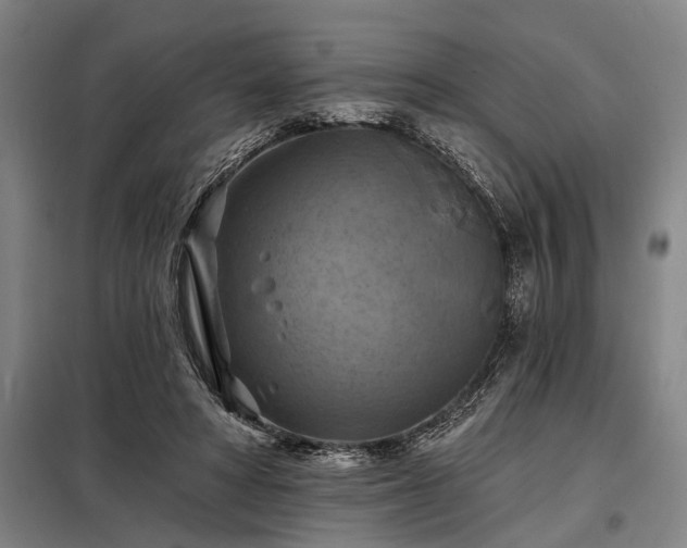 X0000098210402200805011215