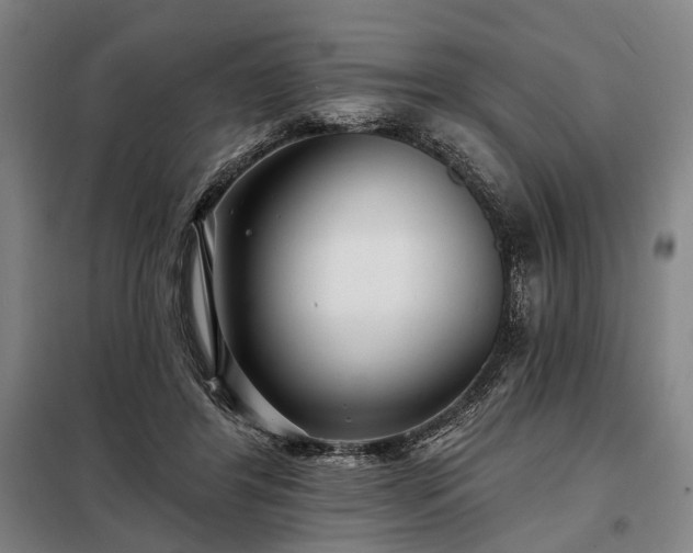 X0000098210404200805011215