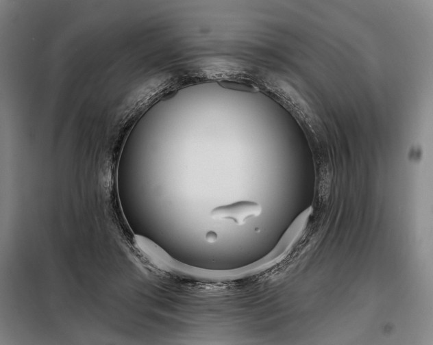 X0000098210405200805011215