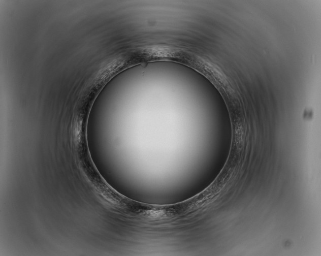 X0000098210406200805011215