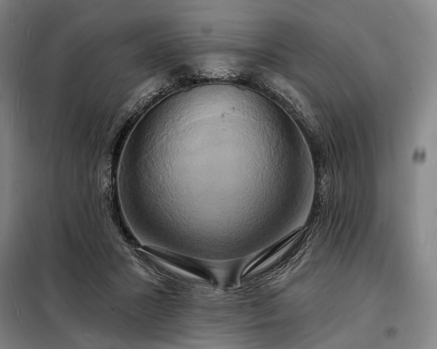 X0000098210407200805011215
