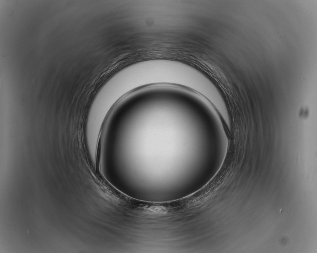 X0000098210409200805011215