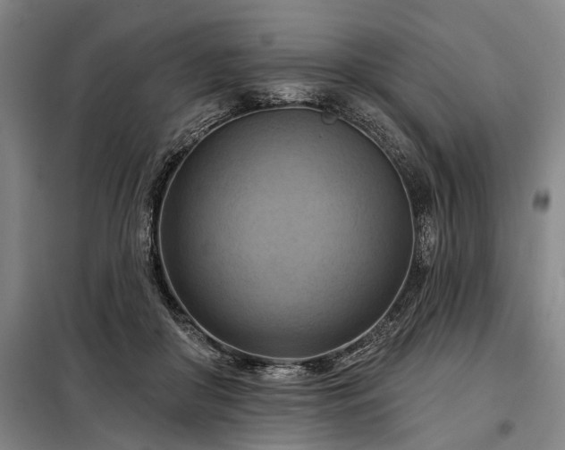 X0000098210410200805011215