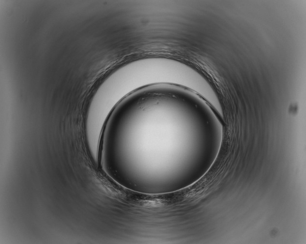 X0000098210411200805011215