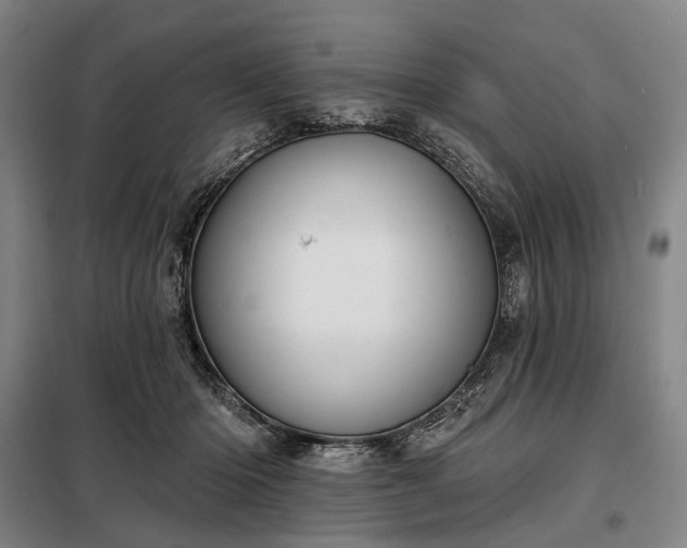 X0000098210414200805011215