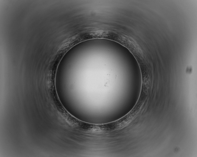 X0000098210416200805011215