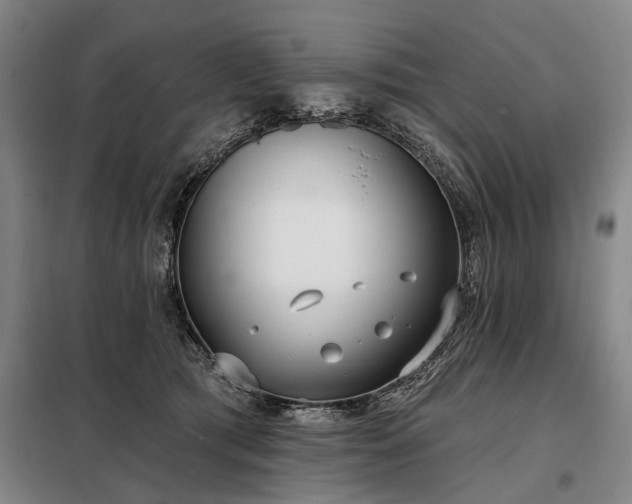 X0000098210417200805011215