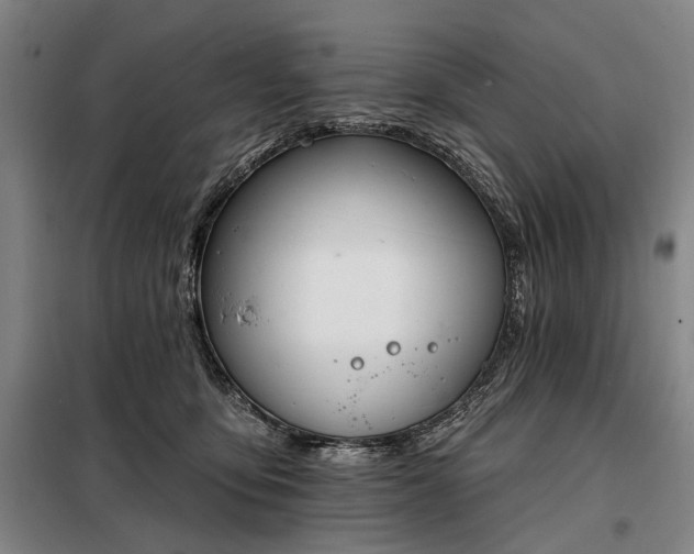 X0000098210419200805011215