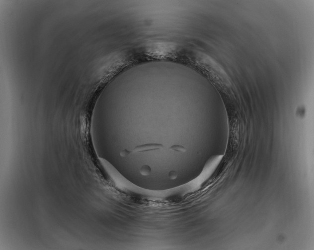 X0000098210420200805011215