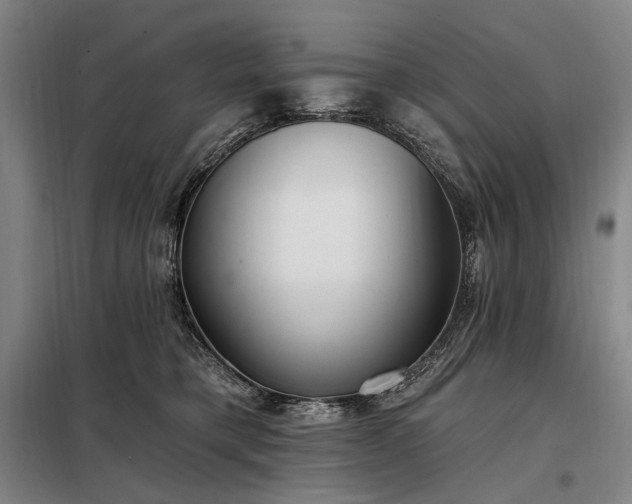 X0000098210421200805011215