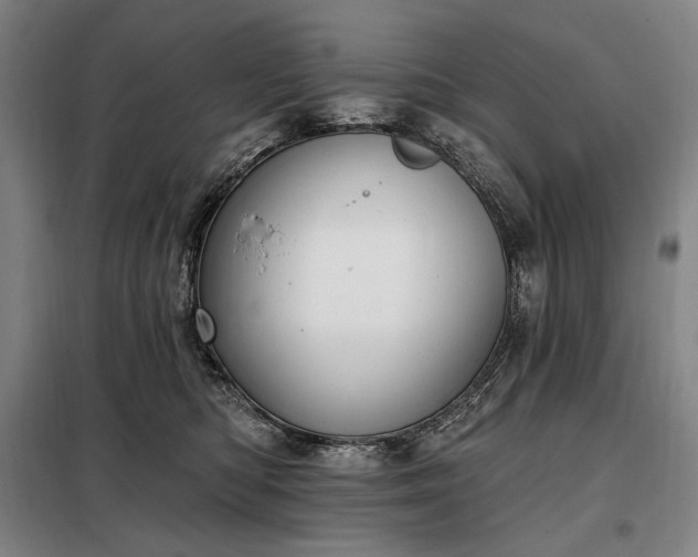X0000098210422200805011215