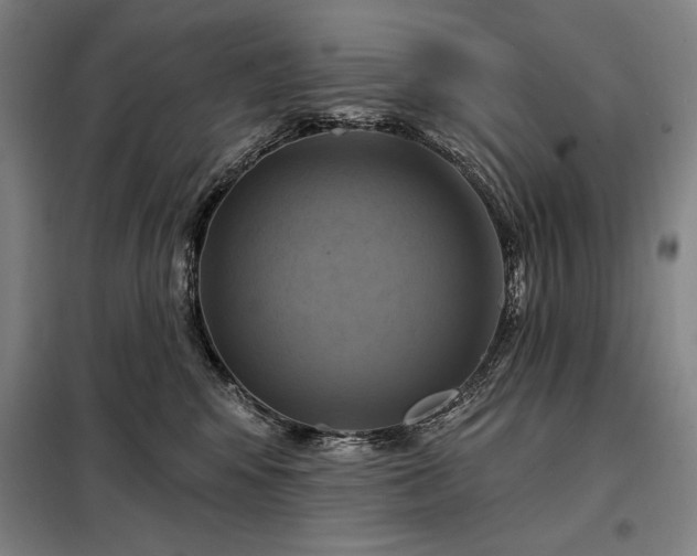 X0000098210424200805011215