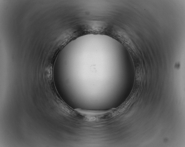 X0000098210425200805011215