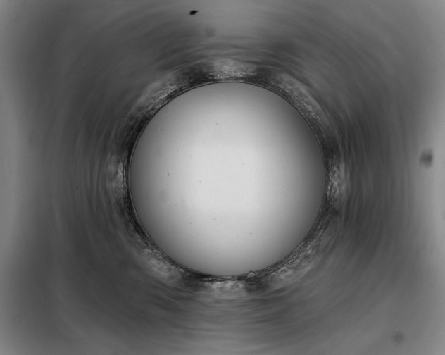X0000098210426200805011215