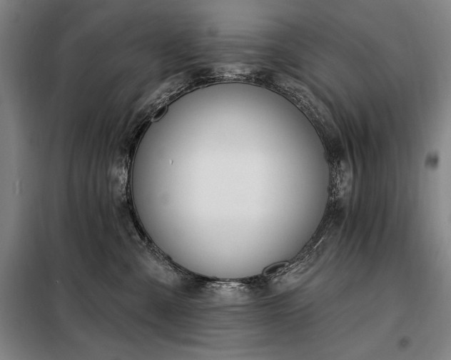 X0000098210427200805011215