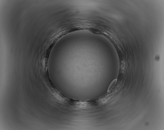 X0000098210428200805011215
