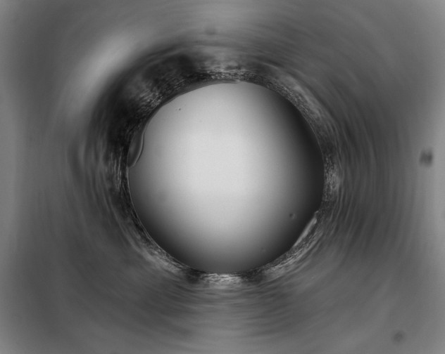 X0000098210429200805011215