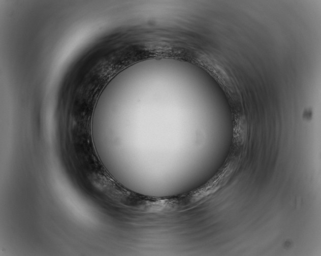 X0000098210430200805011215