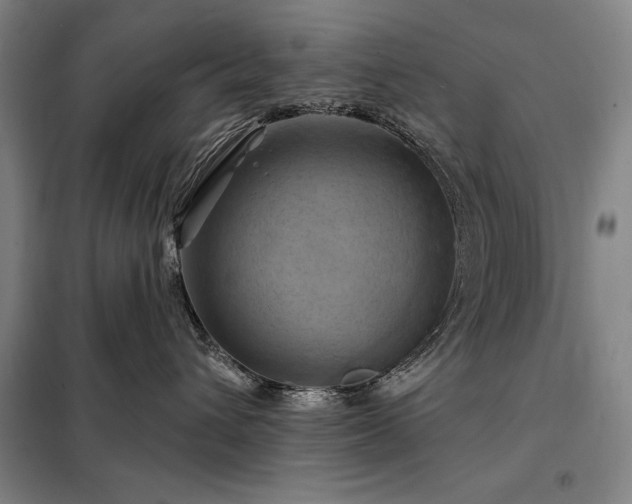 X0000098210432200805011215