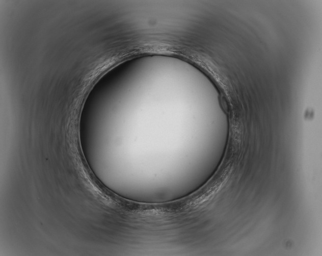 X0000098210433200805011214