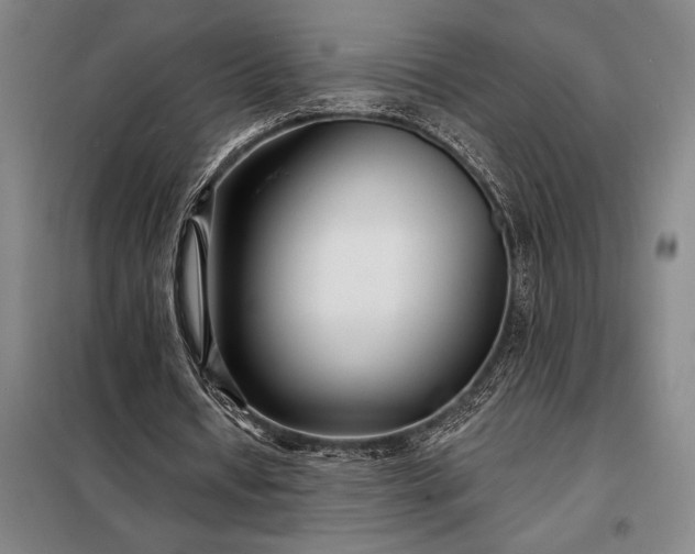 X0000098210434200805011214