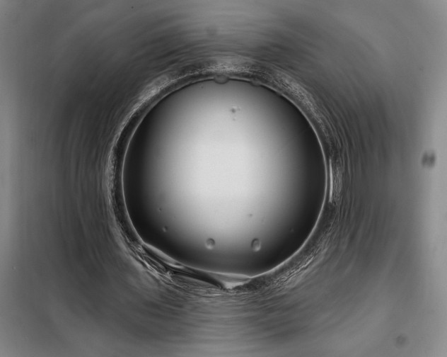 X0000098210435200805011214