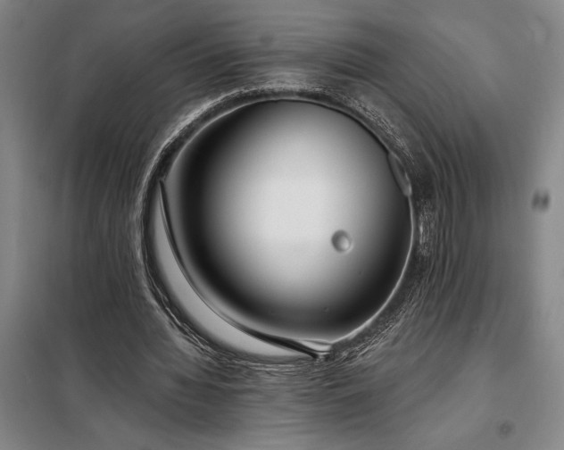 X0000098210436200805011214