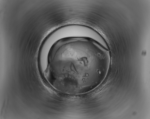X0000098210438200805011214
