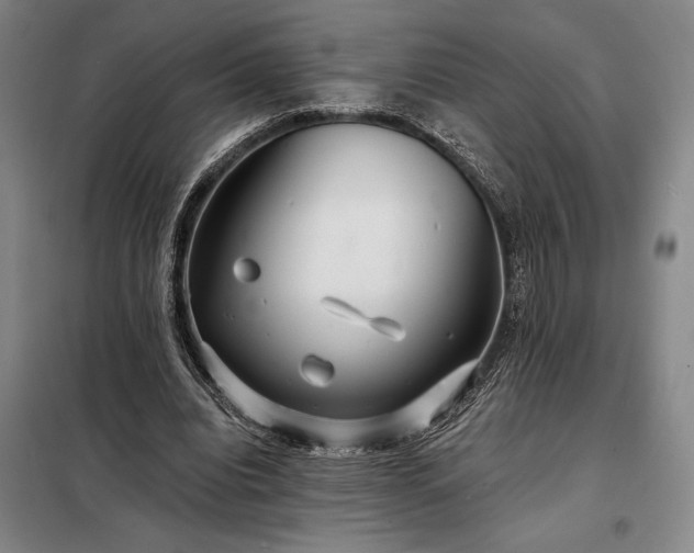 X0000098210440200805011214