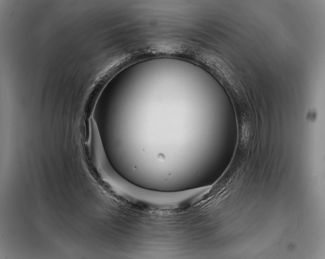 X0000098210444200805011214