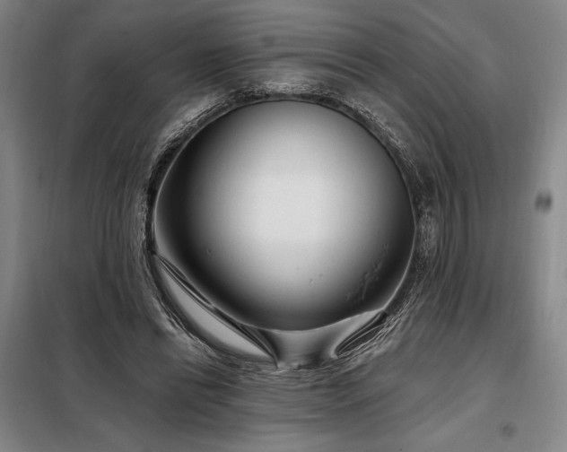 X0000098210446200805011214