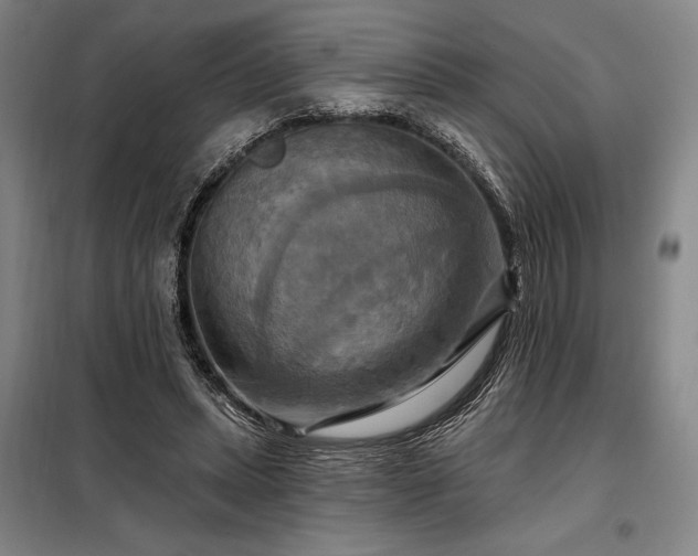 X0000098210447200805011214
