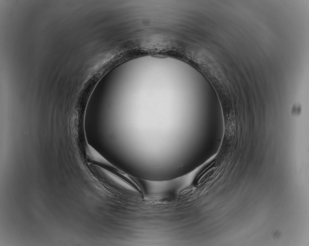 X0000098210448200805011214