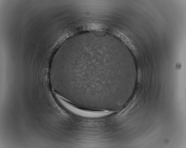 X0000098210449200805011214