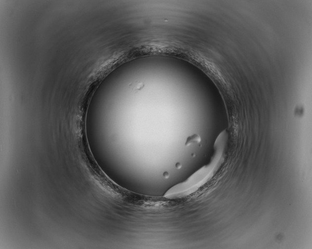 X0000098210450200805011214