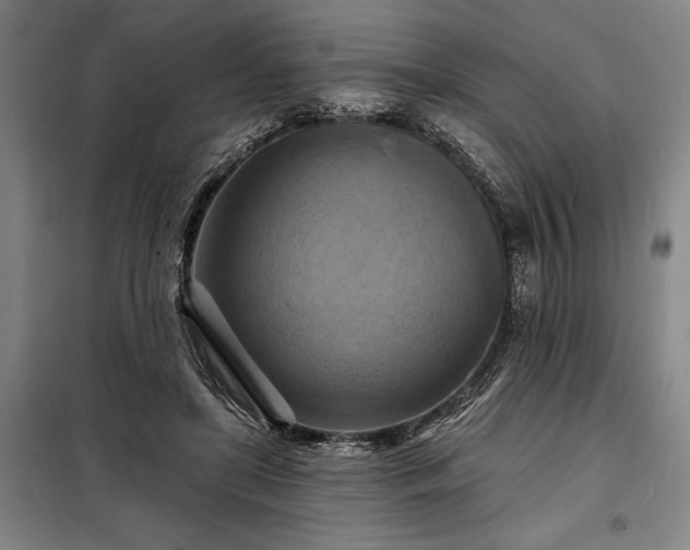 X0000098210451200805011214